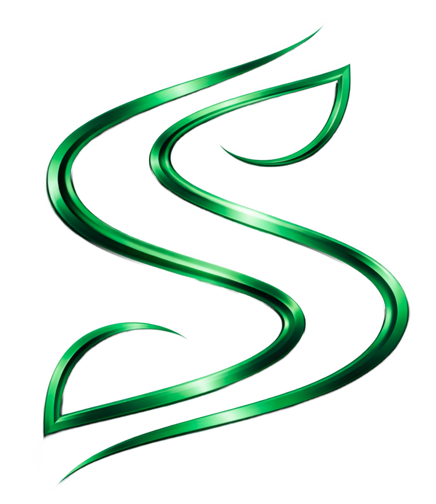 Logo Selva & Stone